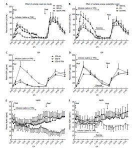 insulin periodicity